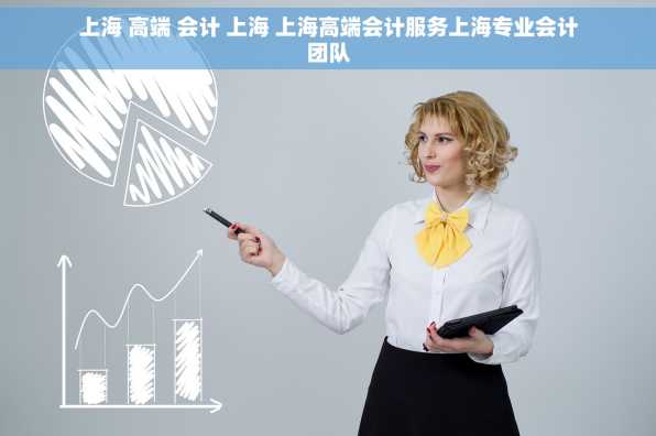 上海 高端 会计 上海 上海高端会计服务上海专业会计团队