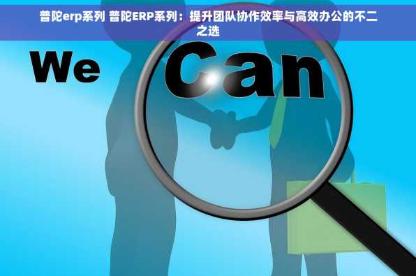 普陀erp系列 普陀ERP系列：提升团队协作效率与高效办公的不二之选