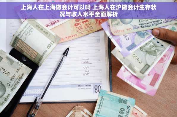 上海人在上海做会计可以吗 上海人在沪做会计生存状况与收入水平全面解析