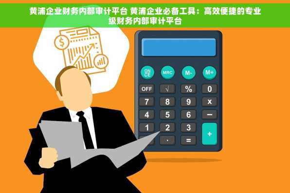黄浦企业财务内部审计平台 黄浦企业必备工具：高效便捷的专业级财务内部审计平台