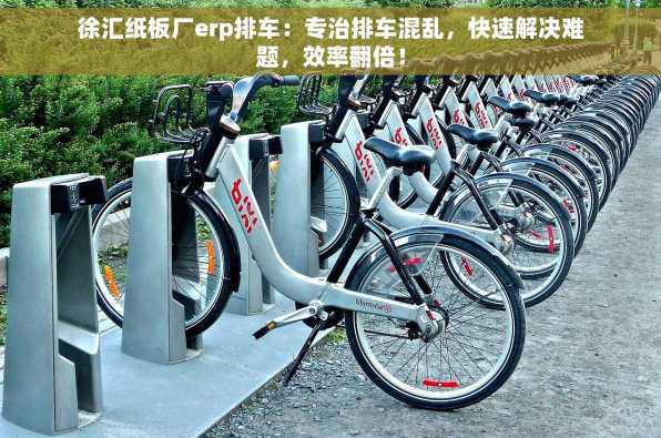 徐汇纸板厂erp排车：专治排车混乱，快速解决难题，效率翻倍！