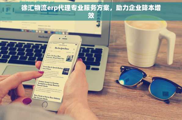 徐汇物流erp代理专业服务方案，助力企业降本增效