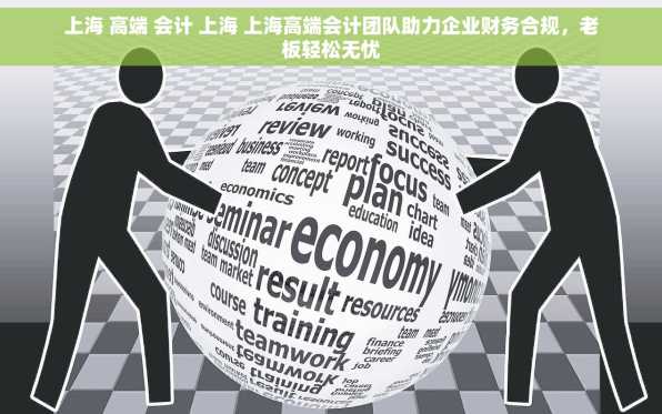 上海 高端 会计 上海 上海高端会计团队助力企业财务合规，老板轻松无忧