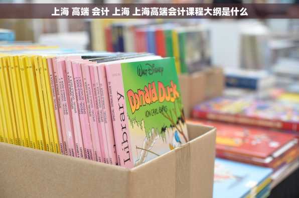 上海 高端 会计 上海 上海高端会计课程大纲是什么