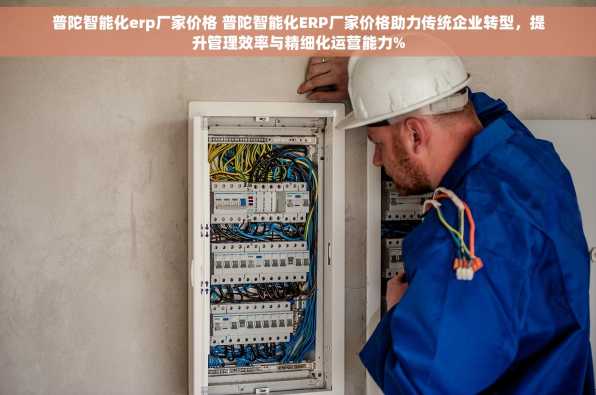 普陀智能化erp厂家价格 普陀智能化ERP厂家价格助力传统企业转型，提升管理效率与精细化运营能力%
