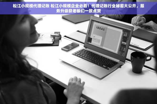 松江小规模代理记账 松江小规模企业必看！代理记账行业秘密大公开，服务升级获老板们一致点赞