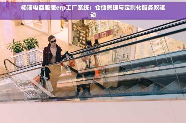 杨浦电商服装erp工厂系统：仓储管理与定制化服务双驱动