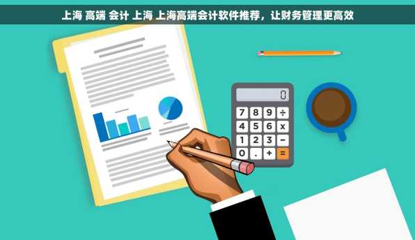上海 高端 会计 上海 上海高端会计软件推荐，让财务管理更高效