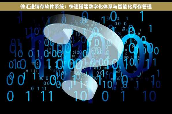 徐汇进销存软件系统：快速搭建数字化体系与智能化库存管理