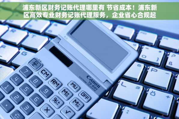 浦东新区财务记账代理哪里有 节省成本！浦东新区高效专业财务记账代理服务，企业省心合规起步