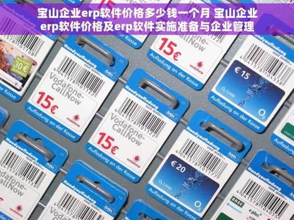 宝山企业erp软件价格多少钱一个月 宝山企业erp软件价格及erp软件实施准备与企业管理优势分析