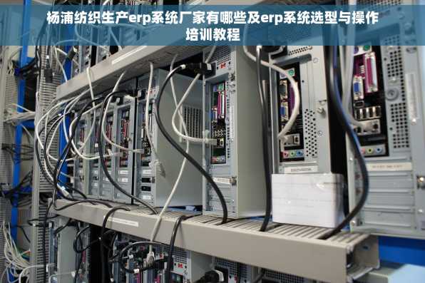 杨浦纺织生产erp系统厂家有哪些及erp系统选型与操作培训教程