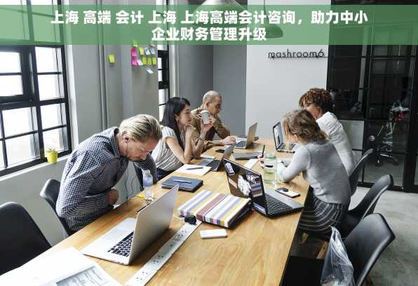 上海 高端 会计 上海 上海高端会计咨询，助力中小企业财务管理升级