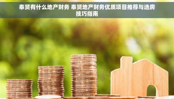 奉贤有什么地产财务 奉贤地产财务优质项目推荐与选房技巧指南