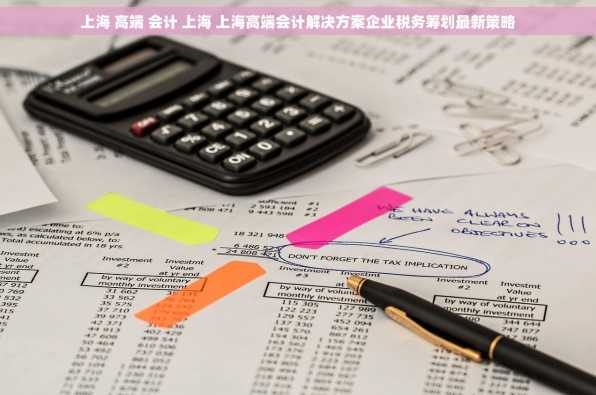 上海 高端 会计 上海 上海高端会计解决方案企业税务筹划最新策略