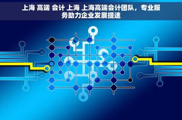 上海 高端 会计 上海 上海高端会计团队，专业服务助力企业发展提速