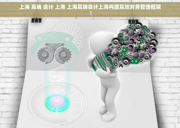 上海 高端 会计 上海 上海高端会计上海构建高效财务管理框架！