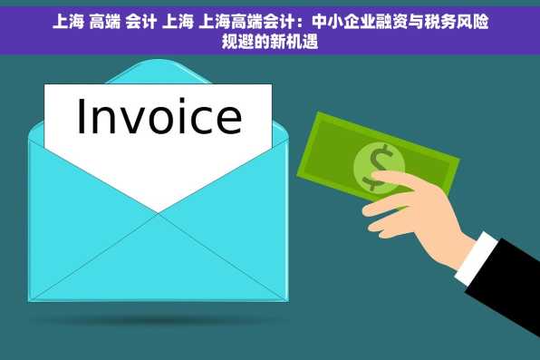 上海 高端 会计 上海 上海高端会计：中小企业融资与税务风险规避的新机遇