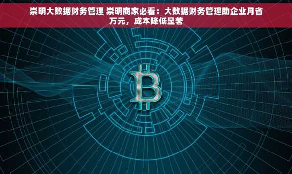 崇明大数据财务管理 崇明商家必看：大数据财务管理助企业月省万元，成本降低显著
