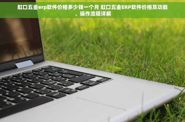 虹口五金erp软件价格多少钱一个月 虹口五金ERP软件价格及功能、操作流程详解