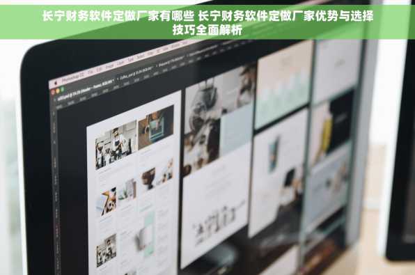 长宁财务软件定做厂家有哪些 长宁财务软件定做厂家优势与选择技巧全面解析