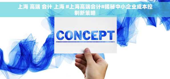 上海 高端 会计 上海 #上海高端会计#揭秘中小企业成本控制新策略