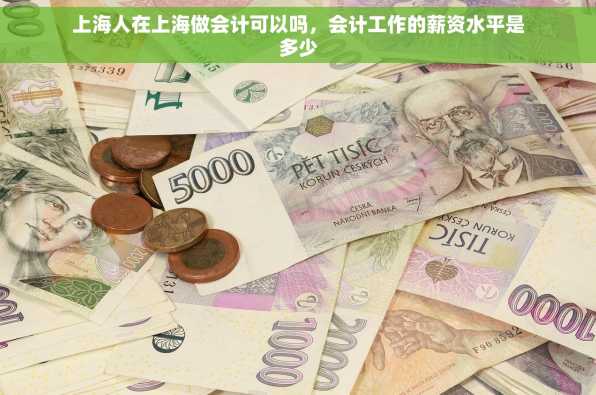上海人在上海做会计可以吗，会计工作的薪资水平是多少