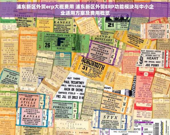 浦东新区外贸erp大概费用 浦东新区外贸ERP功能模块与中小企业适用方案及费用概览