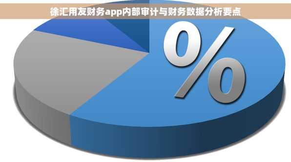 徐汇用友财务app内部审计与财务数据分析要点