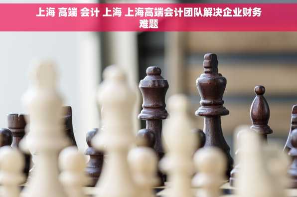 上海 高端 会计 上海 上海高端会计团队解决企业财务难题
