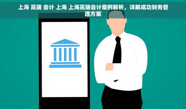 上海 高端 会计 上海 上海高端会计案例解析，详解成功财务管理方案