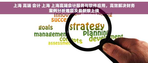 上海 高端 会计 上海 上海高端会计服务与软件应用，高效解决财务案例分析难题及最新版上线