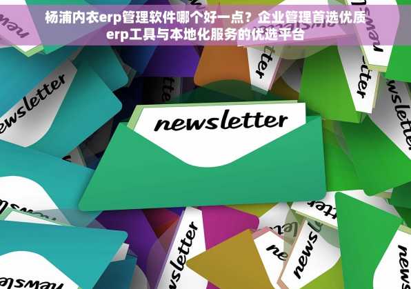 杨浦内衣erp管理软件哪个好一点？企业管理首选优质erp工具与本地化服务的优选平台