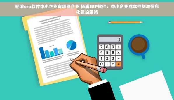 杨浦erp软件中小企业有哪些企业 杨浦ERP软件：中小企业成本控制与信息化建设策略