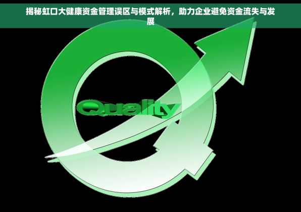 揭秘虹口大健康资金管理误区与模式解析，助力企业避免资金流失与发展