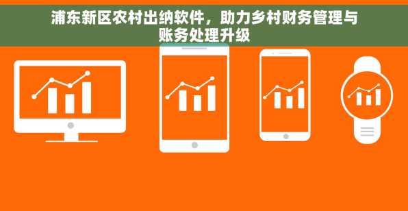 浦东新区农村出纳软件，助力乡村财务管理与账务处理升级