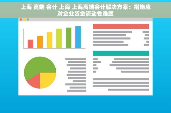 上海 高端 会计 上海 上海高端会计解决方案：措施应对企业资金流动性难题