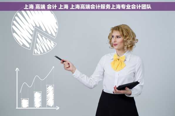 上海 高端 会计 上海 上海高端会计服务上海专业会计团队