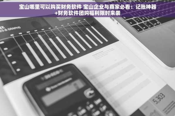 宝山哪里可以购买财务软件 宝山企业与商家必看：记账神器+财务软件团购福利限时来袭