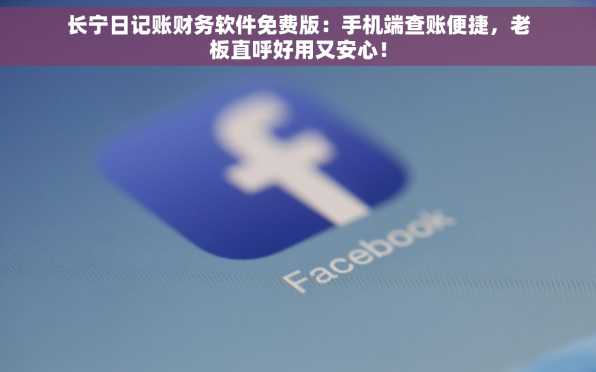 长宁日记账财务软件免费版：手机端查账便捷，老板直呼好用又安心！