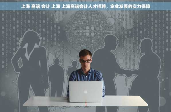 上海 高端 会计 上海 上海高端会计人才招聘，企业发展的实力保障