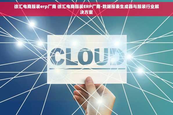 徐汇电商服装erp厂商 徐汇电商服装ERP厂商-数据报表生成器与服装行业解决方案