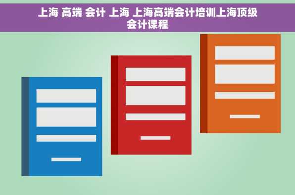 上海 高端 会计 上海 上海高端会计培训上海顶级会计课程