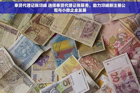 奉贤代理记账邛崃 选择奉贤代理记账服务，助力邛崃新注册公司与小微企业发展