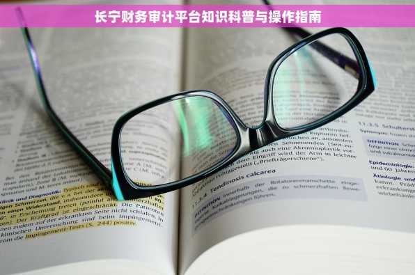 长宁财务审计平台知识科普与操作指南