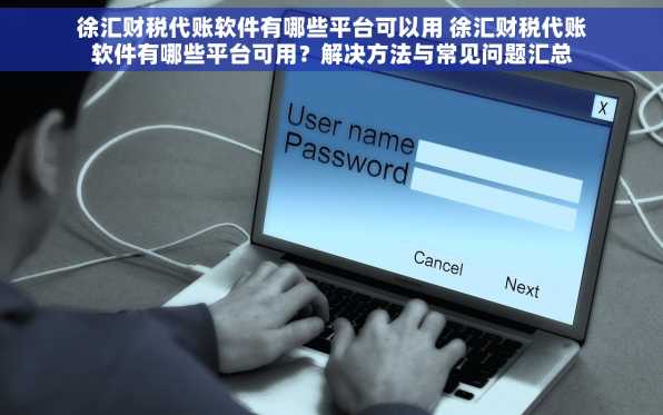 徐汇财税代账软件有哪些平台可以用 徐汇财税代账软件有哪些平台可用？解决方法与常见问题汇总