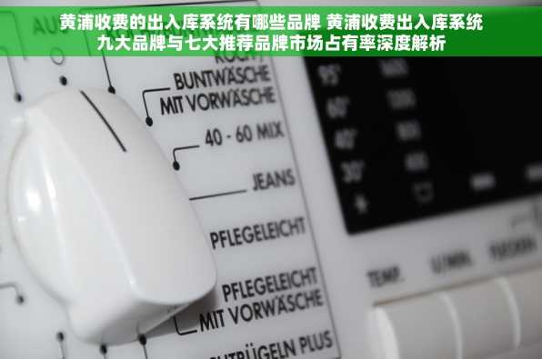 黄浦收费的出入库系统有哪些品牌 黄浦收费出入库系统九大品牌与七大推荐品牌市场占有率深度解析