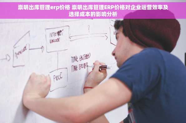 崇明出库管理erp价格 崇明出库管理ERP价格对企业运营效率及选择成本的影响分析