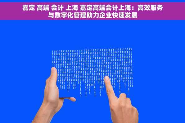 嘉定 高端 会计 上海 嘉定高端会计上海：高效服务与数字化管理助力企业快速发展