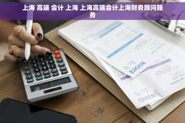 上海 高端 会计 上海 上海高端会计上海财务顾问服务